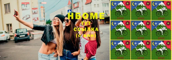 шишки Туринск