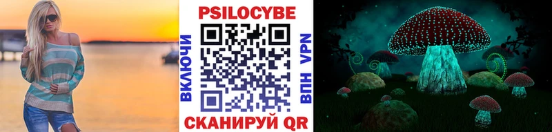 Купить  Благовещенск  Галлюциногенные грибы прущие грибы 